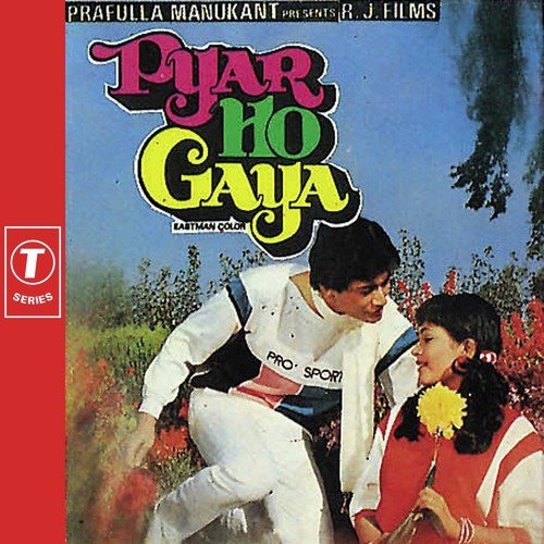 Hum Is Paar - Alka Yagnik, Dhiraj Dhanak, Shabbir Kumar