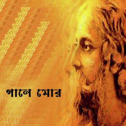 Dariye Acho Tumi Amar - Various Artists