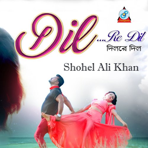 Dil Re Dil - Shohel Ali Khan