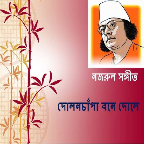 Dolon Chapa Bone Dole - Sudin Dash