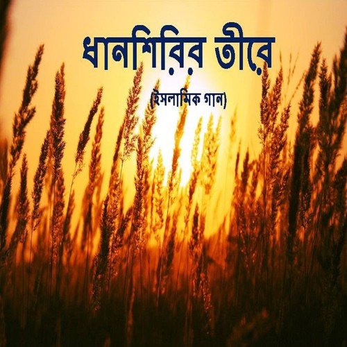 Jhalhaidda Pola - Various Artists