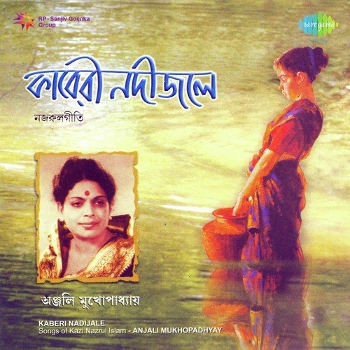 Hey Parthasarathi - Anjali Mukherjee