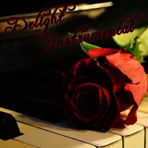 Chamber Orchestra - Various Artists