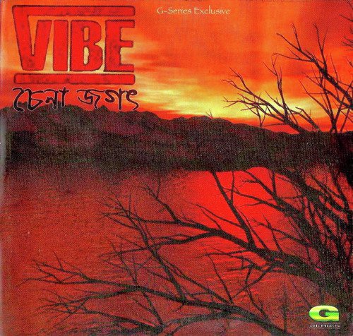 Amar Songbidhan - VIBE