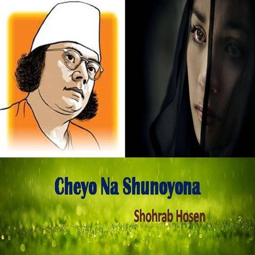 Onek Chilo Bolar - Shohrab Hosen