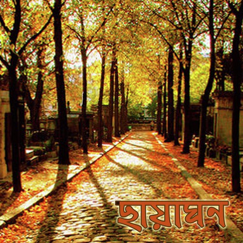 Na Go Ei Je Dhula Amar Na E - Various Artists