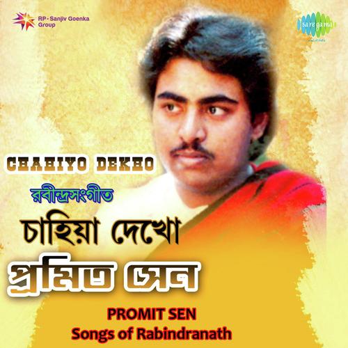 Hey Kshaniker Atithi - Promit Sen
