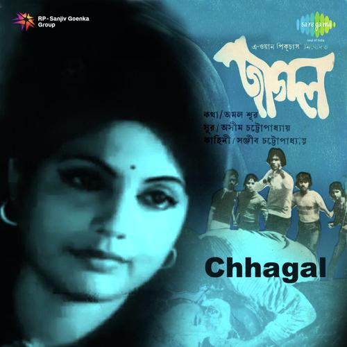 Desh Humara Hindustan - Ashim Chatterjee