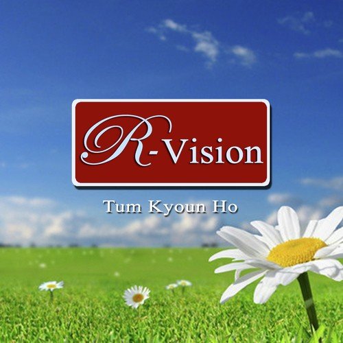 Tum Kyoun Ho - Various Artists