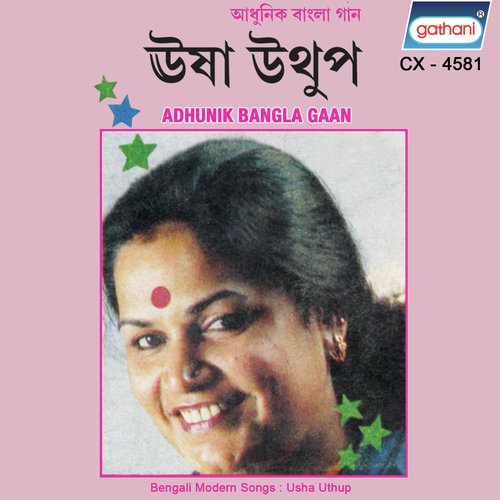 Nei Niswaser Biswas - Srijon