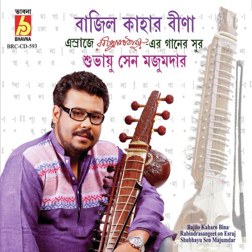 Sukhohin Nishidin - Shubhayu Sen Majumdar