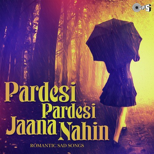 Hum Pyaar Hai Tumhare (From Haan... Maine Bhi Pyaar Kiya) - Nadeem-Shravan