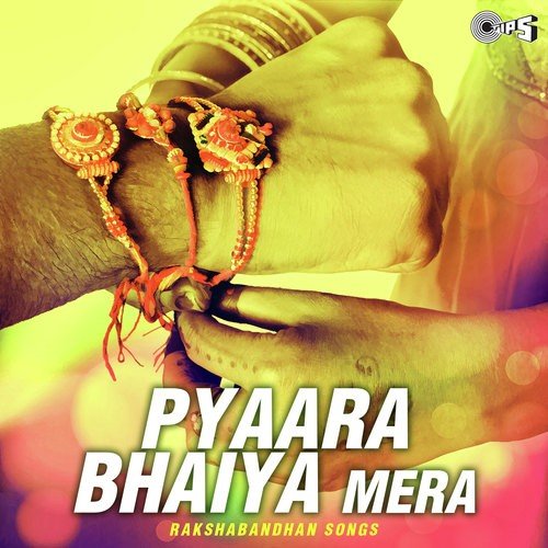 Mamta Bhare - Female (From Krodh) - Rajesh Roshan