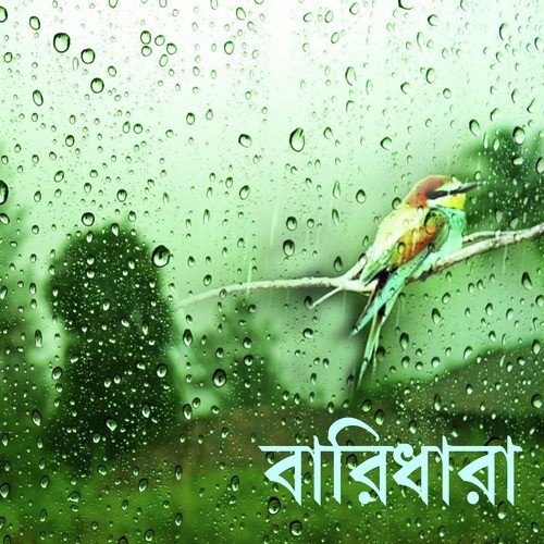 Meghachaye - Various Artists