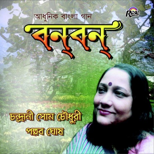 Srabon Jokhon - Various Artists