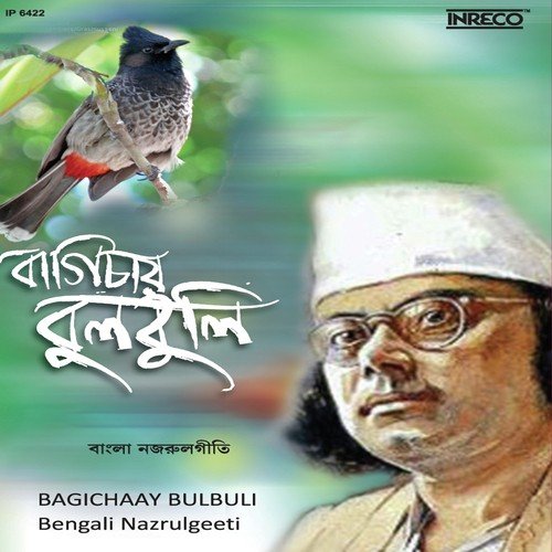 Sakhi Oi Sono Banshi - Various Artists