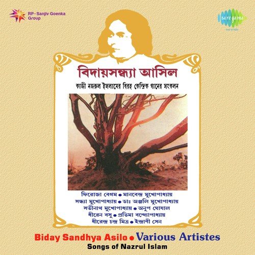 Ami Chirotare Dure Chole Jabo - Satinath Mukherjee