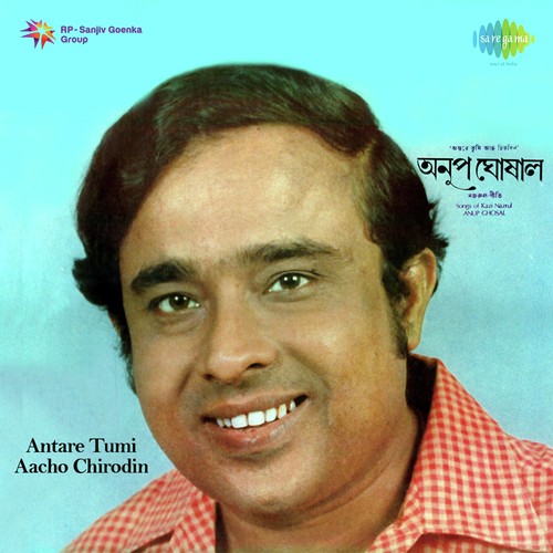 Nupur Madhur Runujhunu - Manabendra Mukherjee