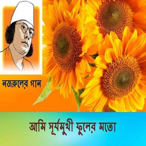 Hongso Mithun Ogo - Various Artists