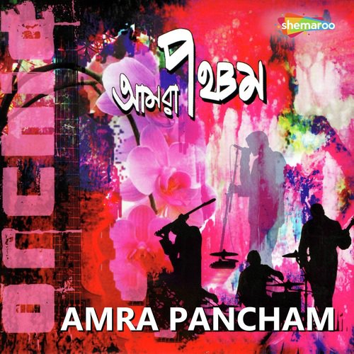 Rinaa Madam - Orchid