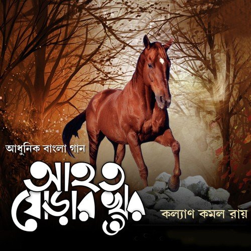 Durey Se Kothay - Kalyan Kamal Roy