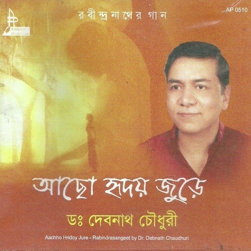 Badhu Michhe Raag Karo Na-Debnath - Dr. Debnath Chowdhury
