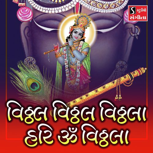 Vithal Vithal Vithala Hari Om Vithala - Ami Joshi