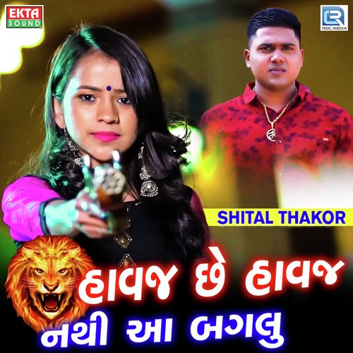 Havaj Chhe Havaj Nathi Aa Baglu - Ajay Thakor, Vijay Thakor, Shital Thakor