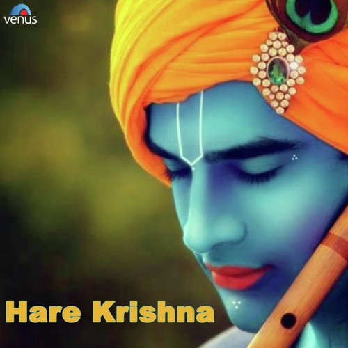 Shri Krishna Sharanam Mamah B - Ashit Desai