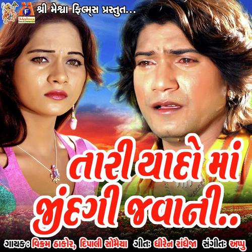 Tari Yado Ma Zindgi Java Ni - Vikram Thakor