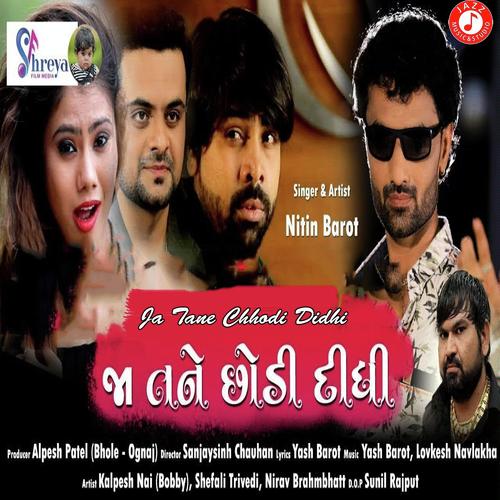 Ja Tane Chhodi Didhi - Nitin Barot