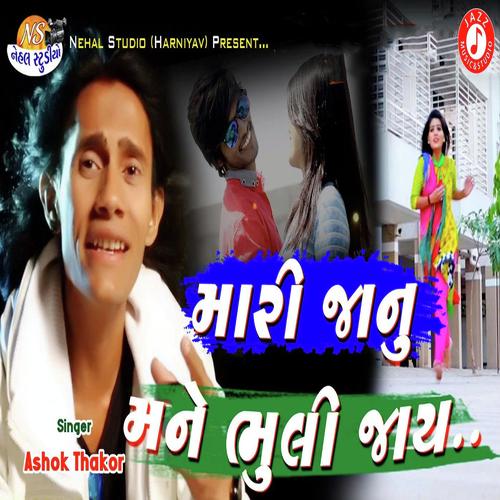 Mari Janu Mane Bhuli Jaay - Mukesh Rabari