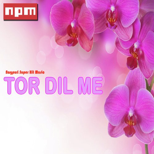 Kavi Kavi Mila Kro Na - Various Artists
