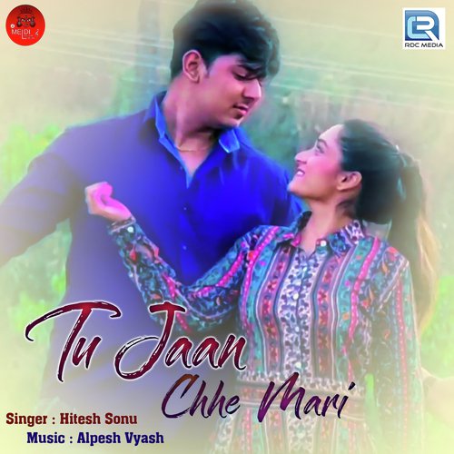 Tu Jaan Chhe Mari - Hitesh Soni