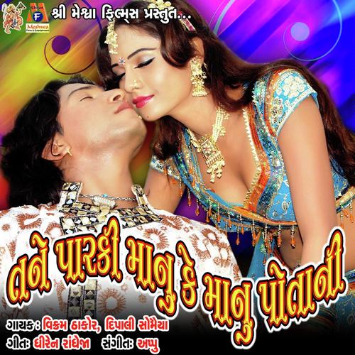 Tane Parki manu ke Manu Potani - Instrumental - Vikram Thakor, Dipalee Somaiya, Dipalee Somaiya