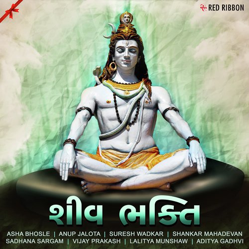 Shri Shivji - Various Artists