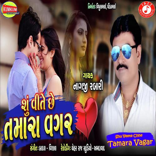 Shu Veete Chhe Tamara Vagar - Vishal Ji, Badal