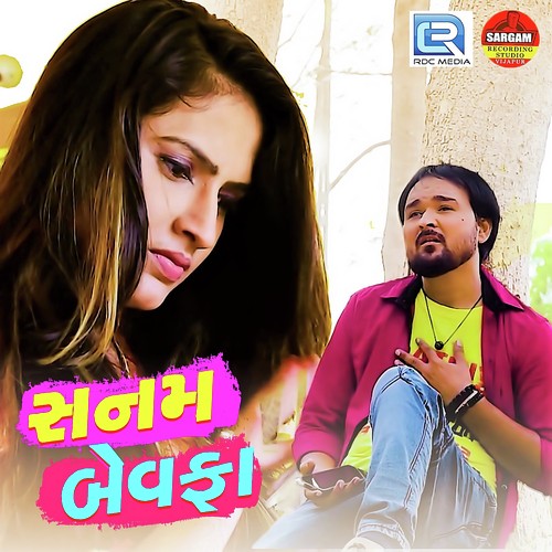 Sanam Bewafaa - Alpesh Panchal