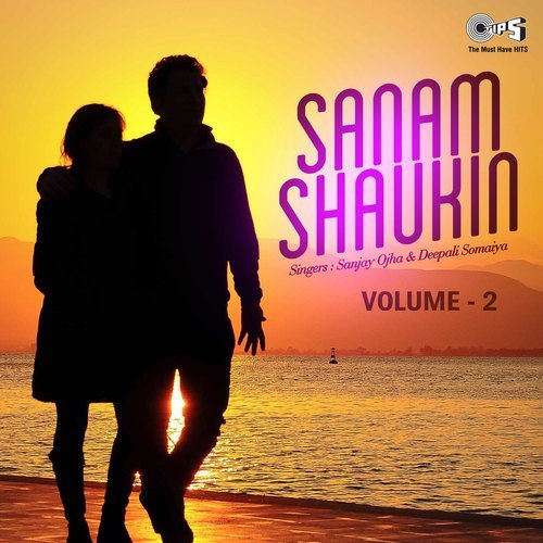 Mhara Dil Ne Pase Rahi Ja - Deepak Shah