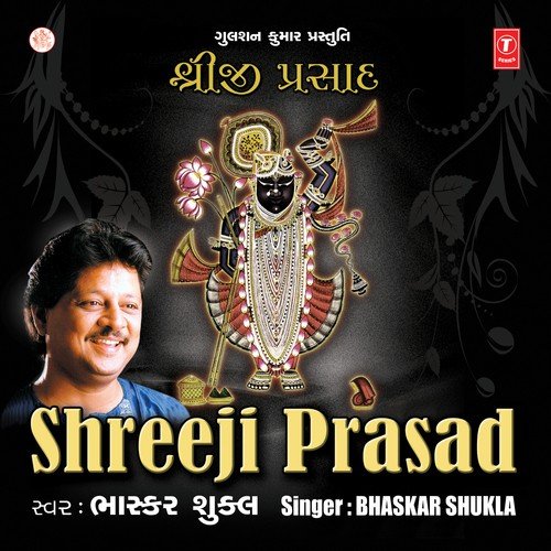 Natvar Nagar Nanda - Various Artists