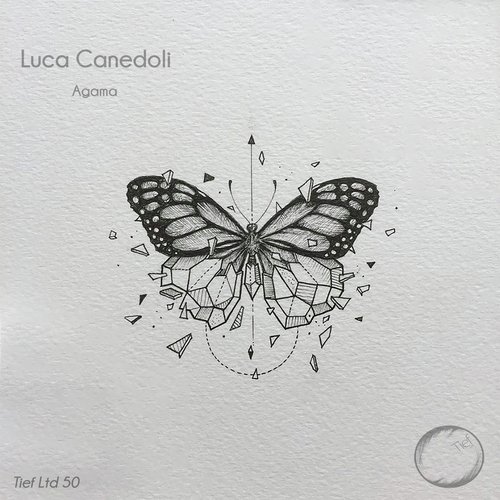 Agama - Luca Canedoli