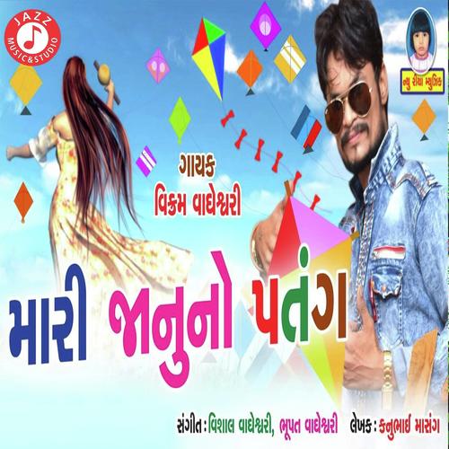 Mari Jaanu No Patang - Vikram Vagheshwari