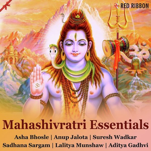 Om Namah Shivay Version 2 - Various Artists