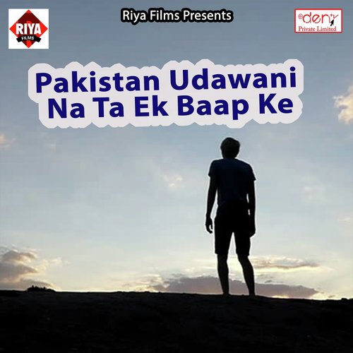 Orchestra Me Bawal Kaile - Various Artists