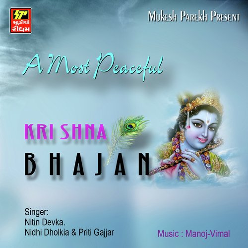 Haveli bandhavi dav - Various Artists