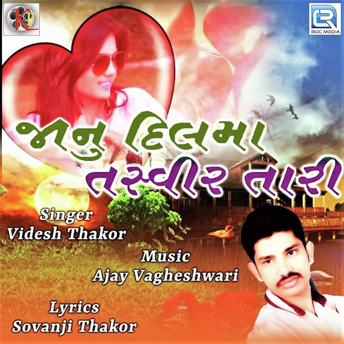 Janu Dilma Tasvir Tari - Videsh Thakor