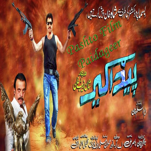 Paidageer Film - sam pa nasha ke dy janan - Various Artists