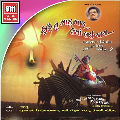 Swami Narayan Narayan Hari - Various Artists