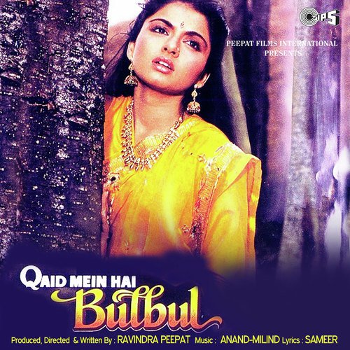 Main Baagon Ki Bulbul - Anand-Milind