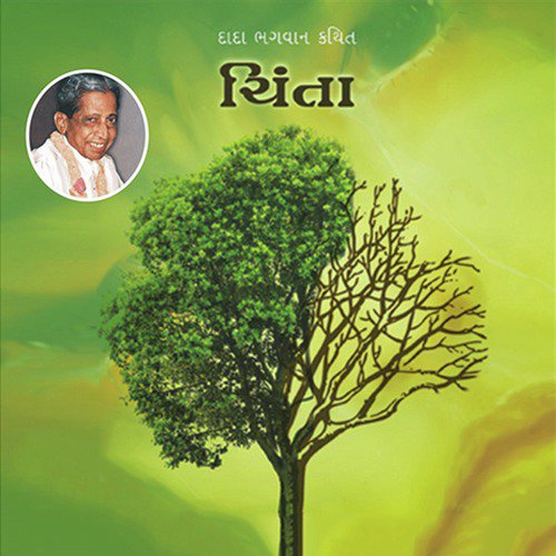 Chinta   Sampadkiya - Yogesh Trikmani